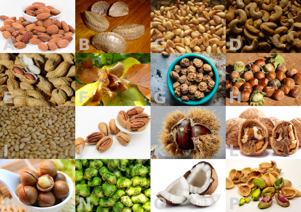 VocaDi-Diet,Nuts